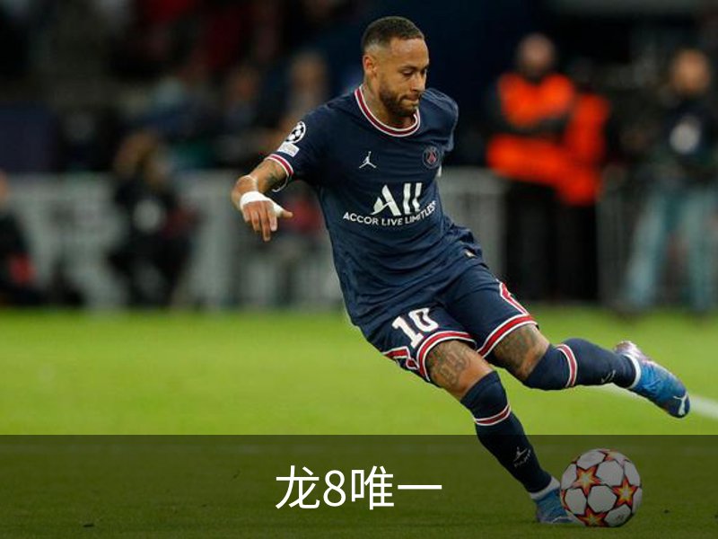 龙8唯一简介